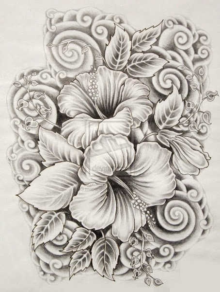 Hibiscus Flower Drawings